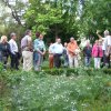 Botanischer Garten